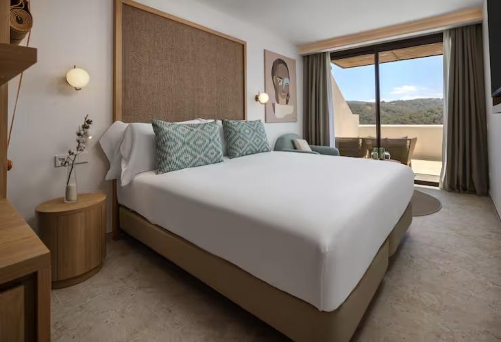 Superior Accessible Double room