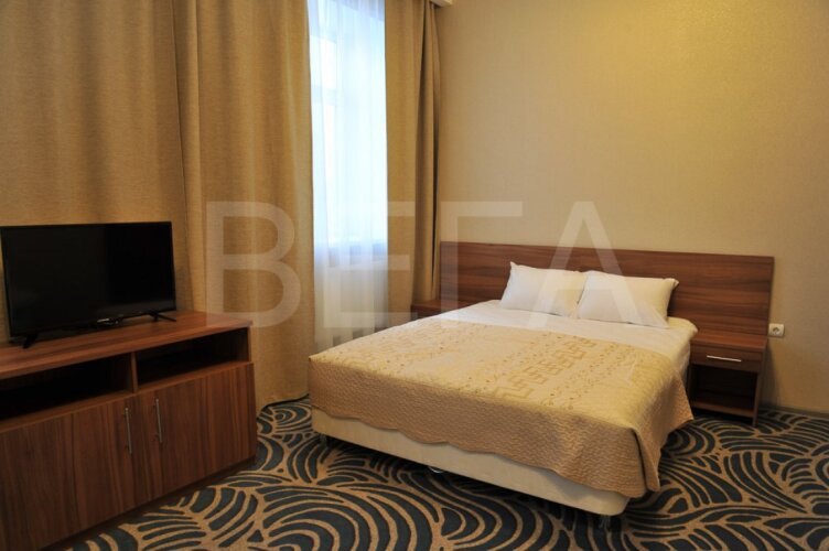 Фотография номера гостиницы Вега