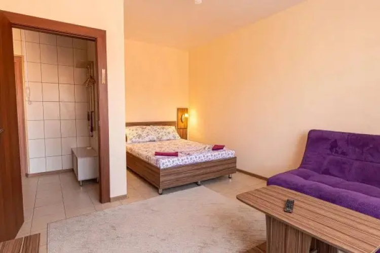 Фотография номера квартиры Апартаменты Siberia Apartaments