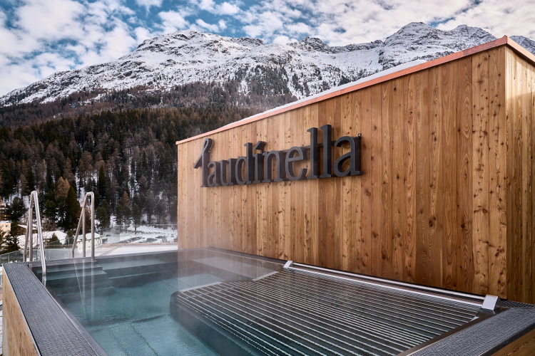 Laudinella photo 30