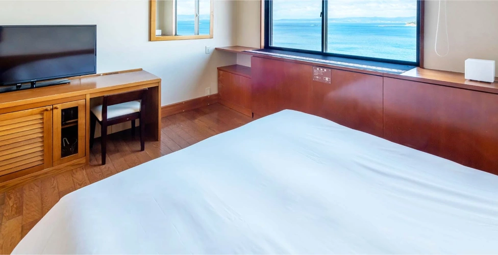 Western-style Twin room