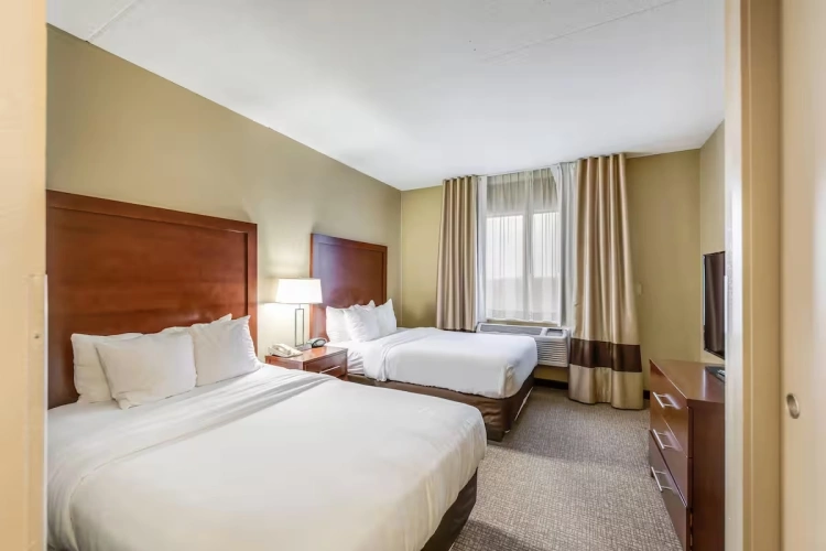 Twin Suite