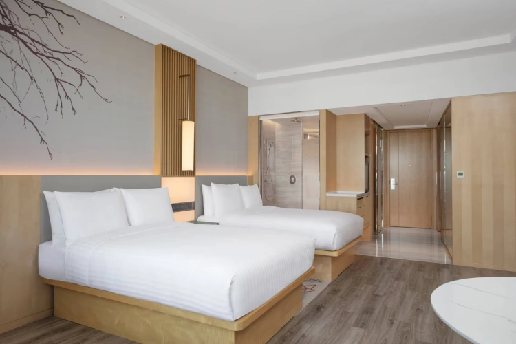 Guest Executive Lounge Access Twin room
