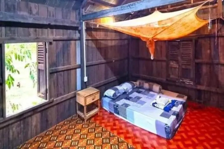 Wooden Double House