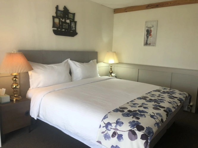 Standard Double room with lake view