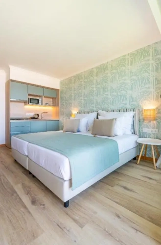 Double Studio Apartment