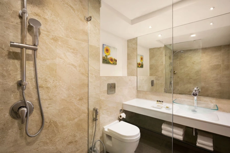 Deluxe Smoking Double room