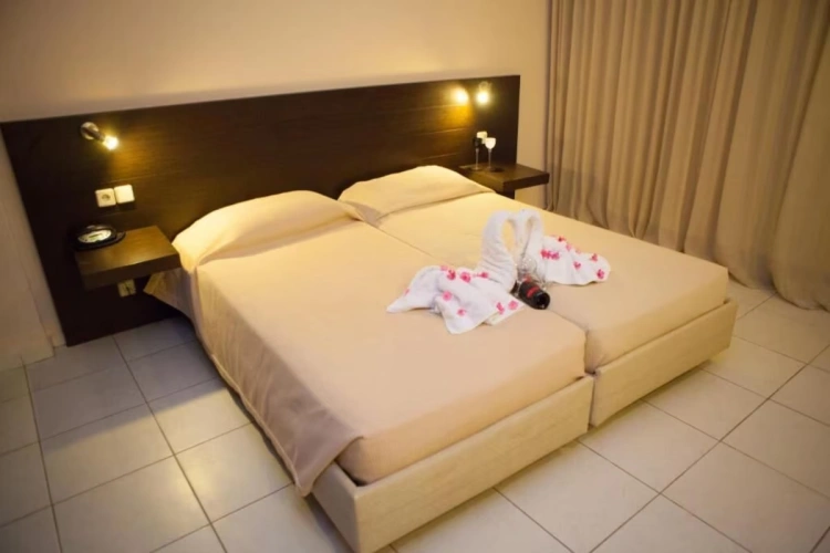 Superior Twin room with garden view