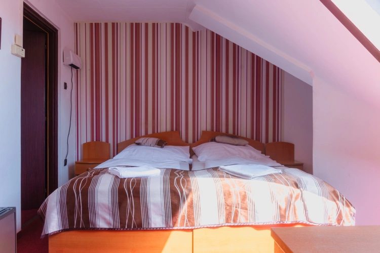 Budget Twin room