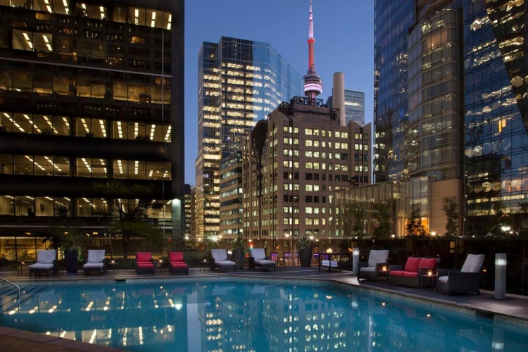Hilton Toronto photo 45
