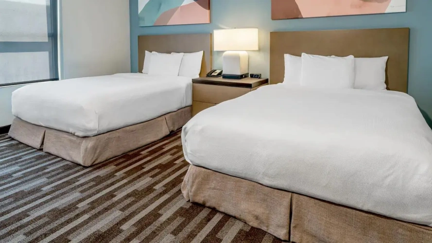 1 Bedroom Accessible Suite