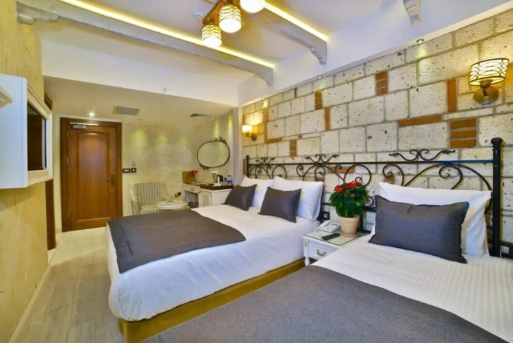 Economy Twin Basement room