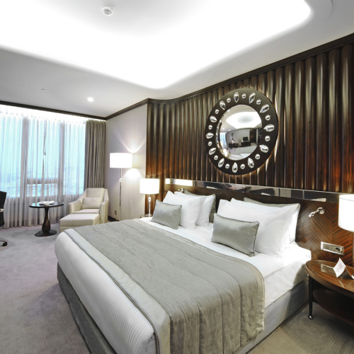 Standard Double Club room