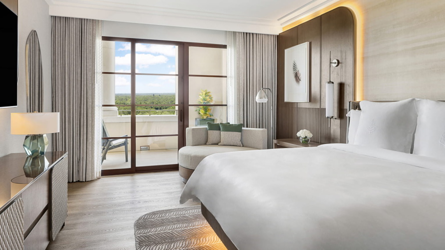 Deluxe Double Suite with park view