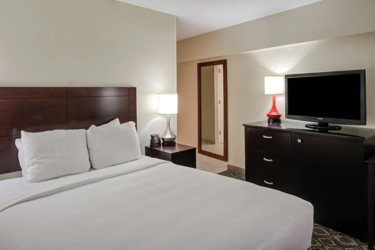 1 Bedroom Double Suite