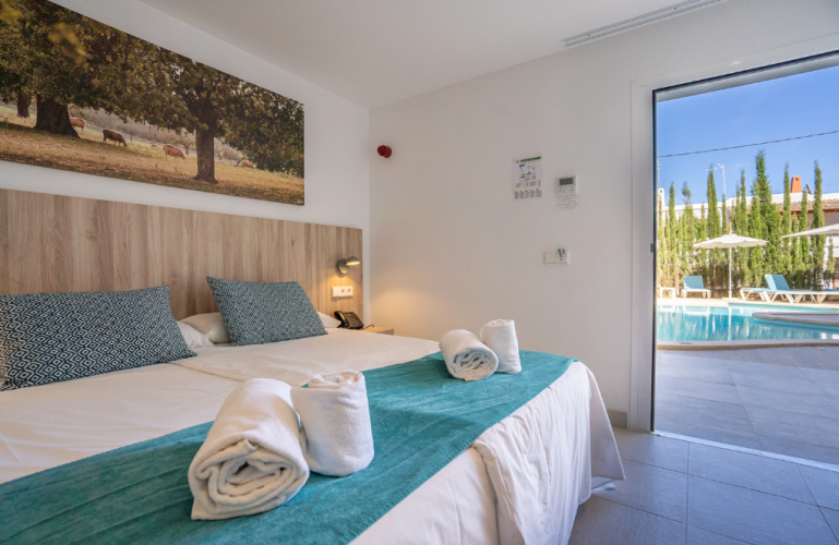 Adapted Double room