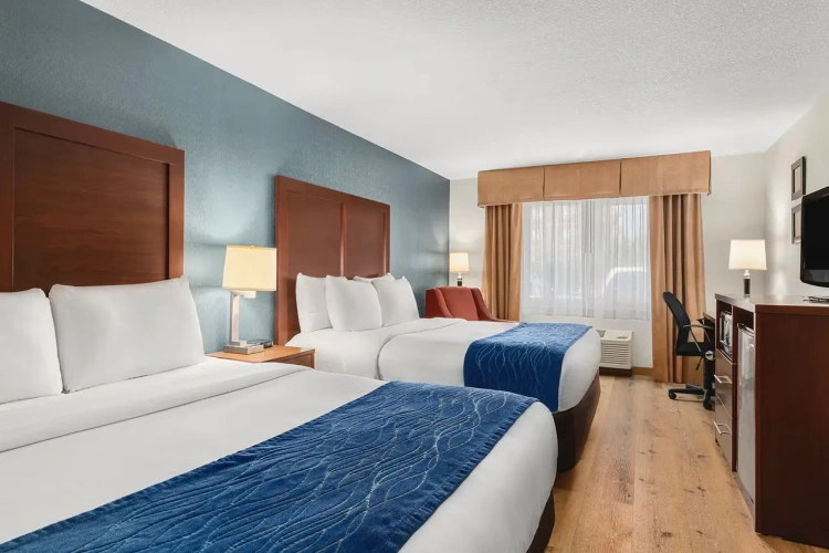 Twin room