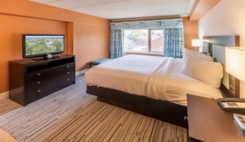 Accessible Double Suite with city view
