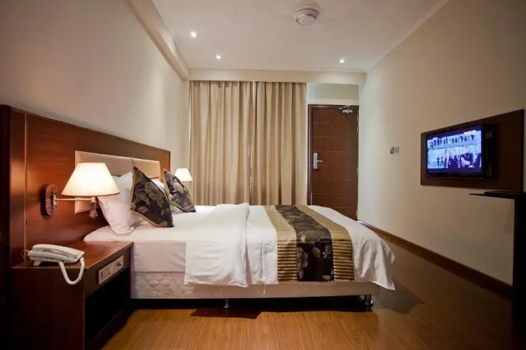 Deluxe Double room with balcony and with city view