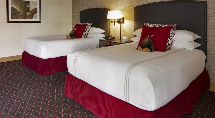 Twin Suite with city view