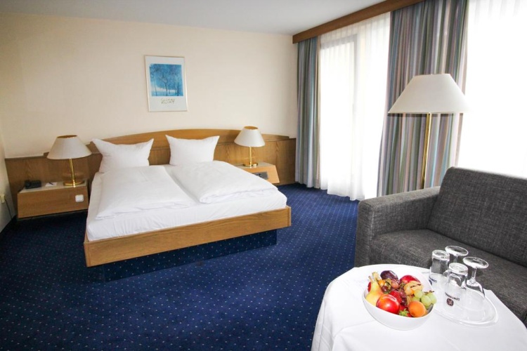 Standard Double room with balcony and with view