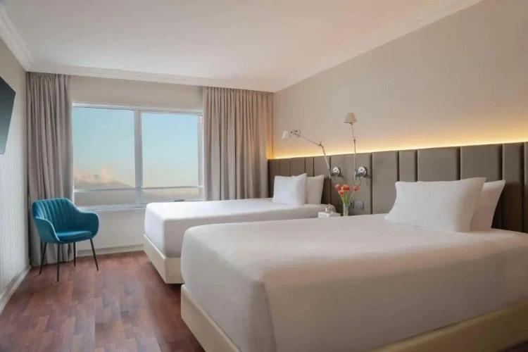 Twin Suite