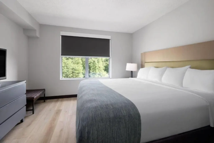 1 Bedroom Double Suite