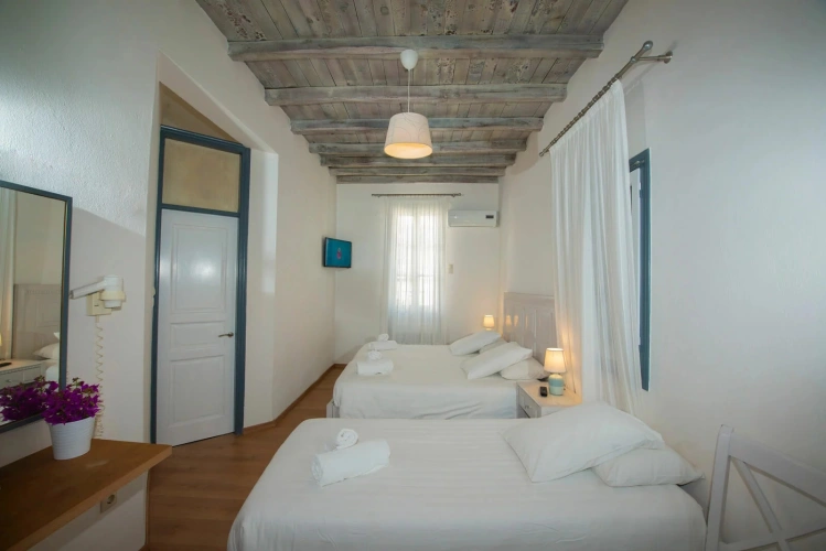 Superior Twin room with garden view