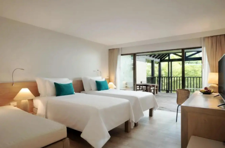 Deluxe Double Studio with balcony and with garden view