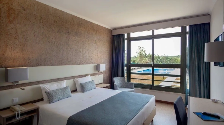 Standard Double room with pool view