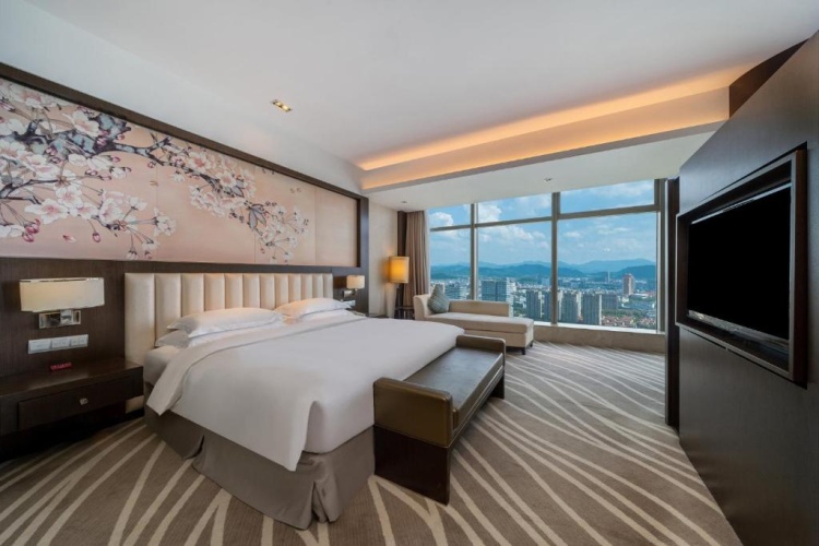 Premium Lounge Access Double room with city view