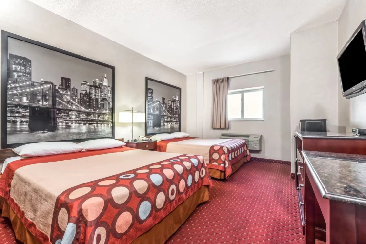 Quadruple Studio Suite