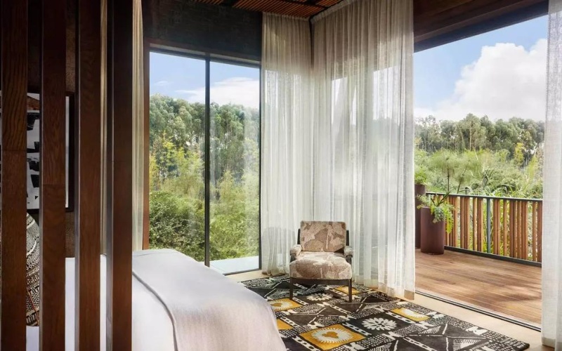 Silverback Double Suite