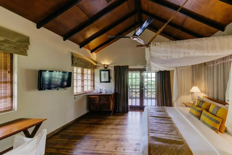 Cinnamon Wild Yala
