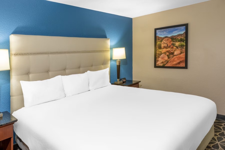 Mobility/Hearing Impaired Accessible Double room