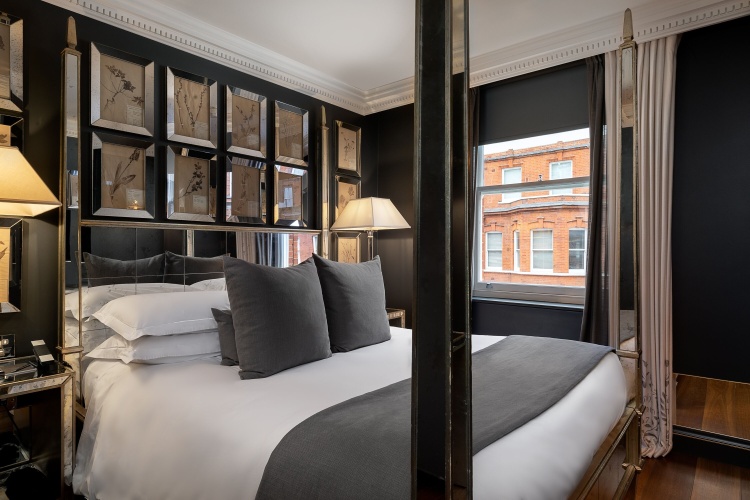 Executive Double Suite