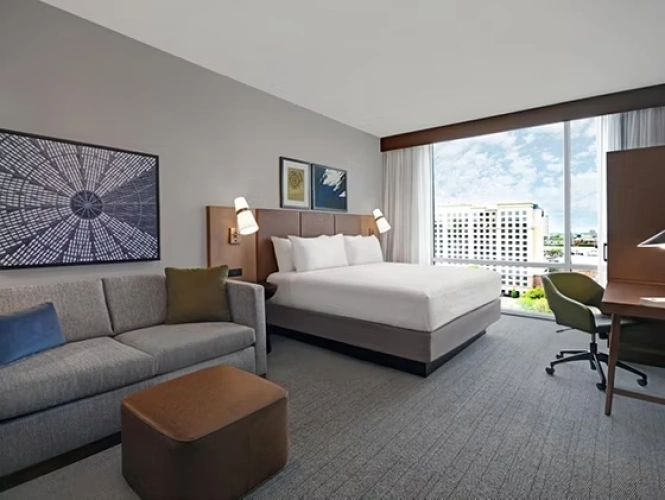 Double Studio Suite with city view