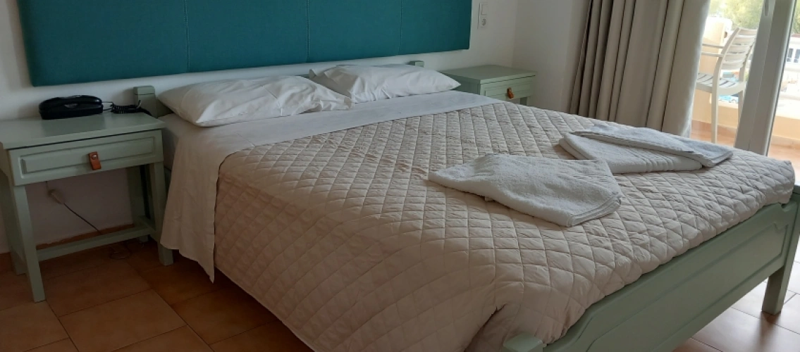 Standard Double room with mountain view