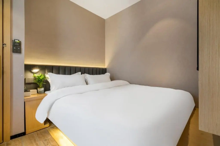 Smart Japanese-Style Double room