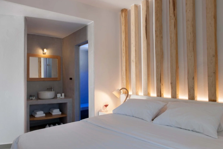 Premium Spa with Outdoor Plunge Pool Double Suite