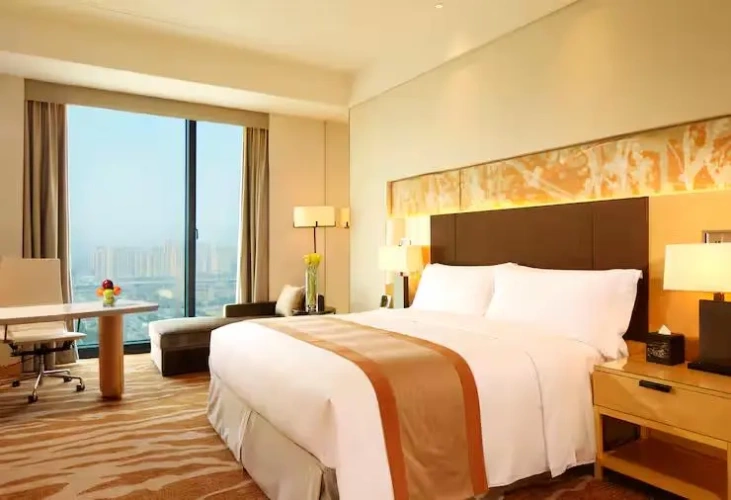 Deluxe Double room with city view