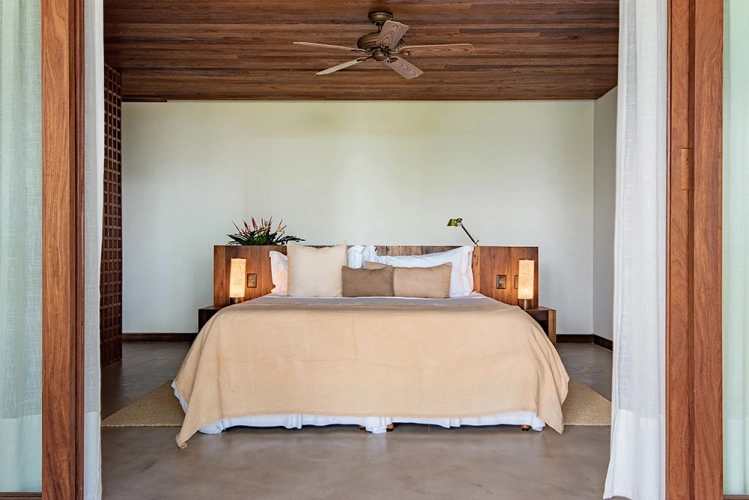 The Forest Double Suite