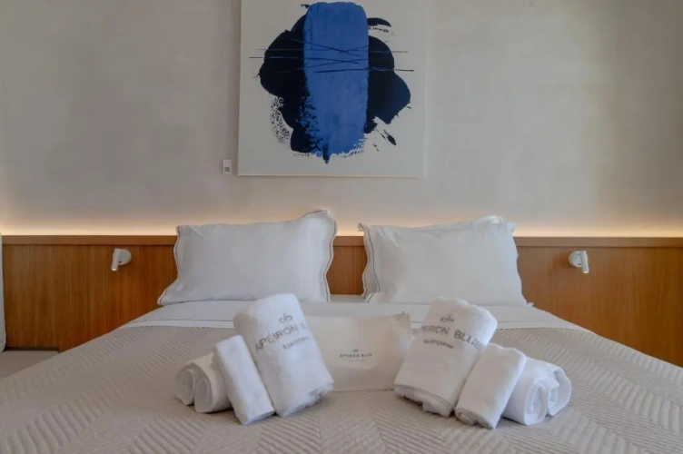 Double room with Caldera View