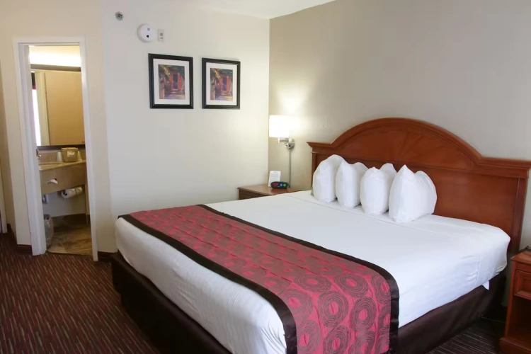 Deluxe Double Studio Suite