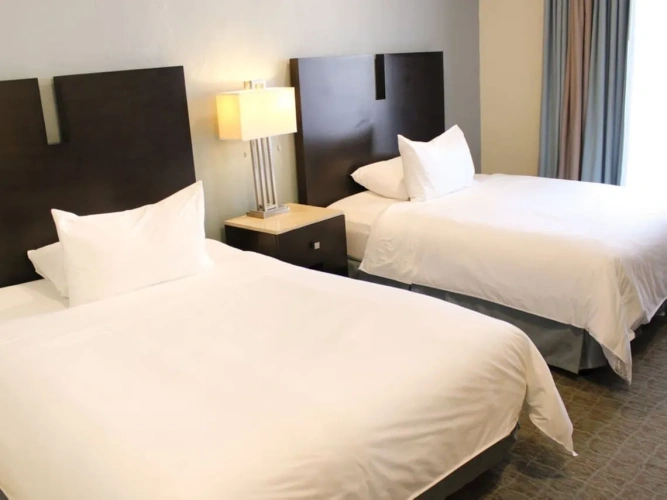 Deluxe Master Suite
