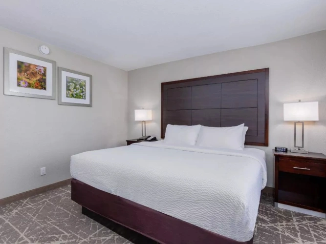 Double room