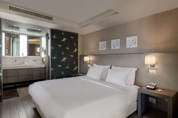 Presidential Double Suite with balcony and with park view