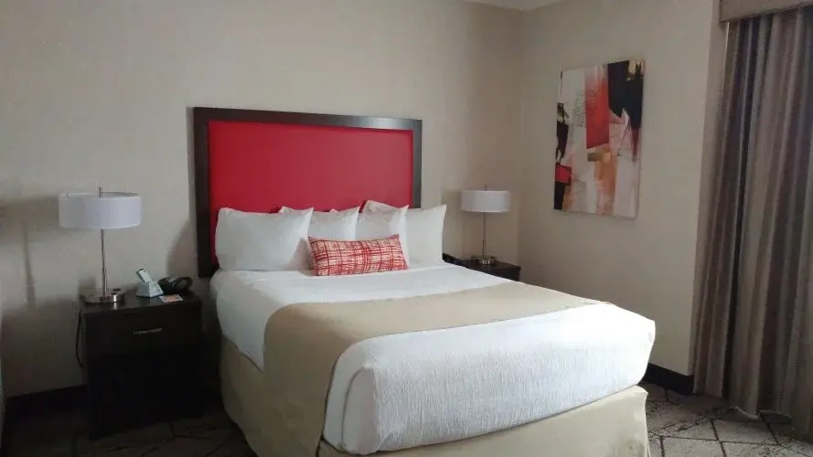 With kitchen Double Suite