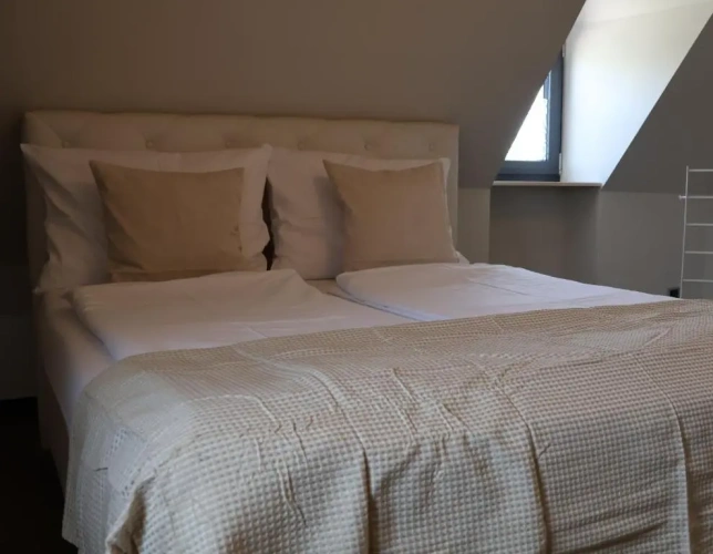 1 Bedroom Classic Double Apartment