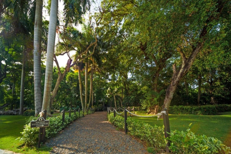 Grand Bavaro Princess (Adults Only) photo 7